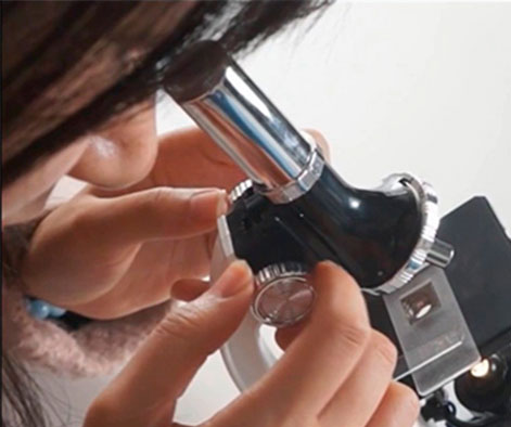 PROCARD MAX investigación