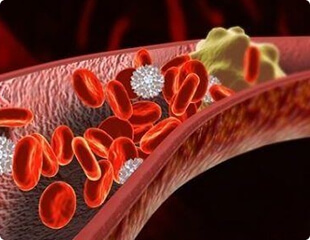 Coágulos sanguíneos